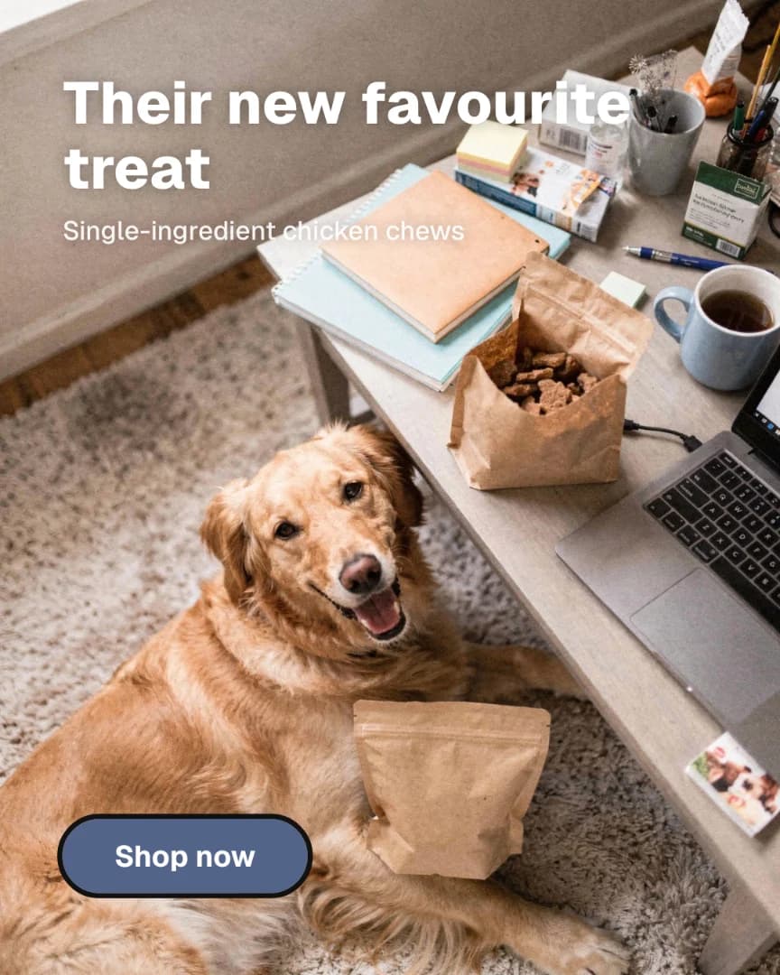 Example ad for chicken dog treats, made with InspectAd AI